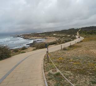 Radweg Richtung Palma