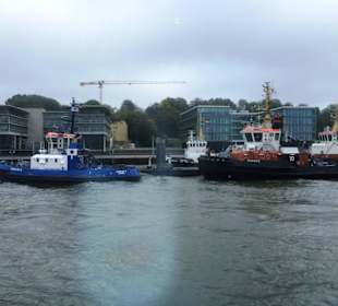 Schlepper des Hamburger Hafen