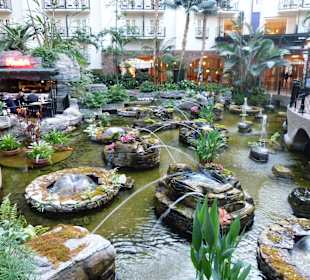 Hinschauen und Verweilen