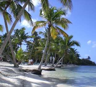 Saona Insel & Natur Pools