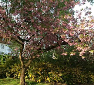 Zeit zum Innehalten und tief durchzuatmen