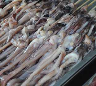 Zbiór najdziwniejszego jedzenia w całym PekinieZbi