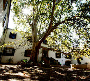 In die Sonne blinzeln