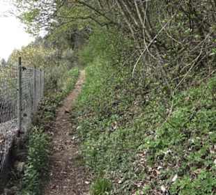 Wanderweg Hochgehswiggert