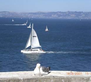 Ausblick von Alcatraz