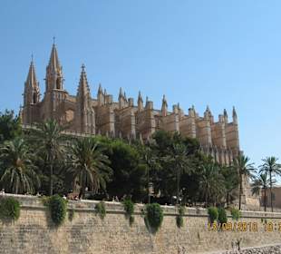 Katedra La Seu