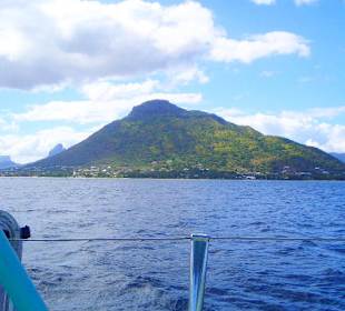 Katamaran/ Delphine-tour