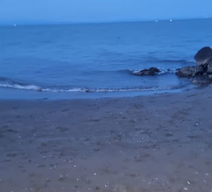 Einfach laufen mehr nicht