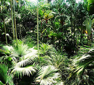 Nong Nooch Tropical Garden