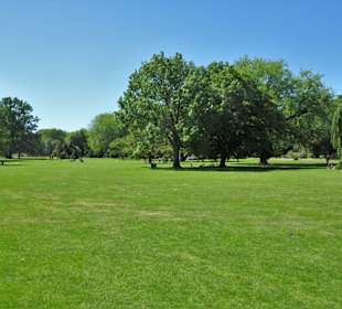 Eindrücke aus dem Alsterpark an der Außenalster