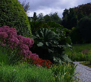 Ogrod botaniczny