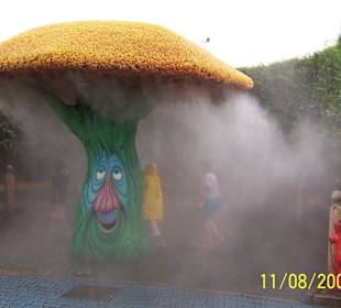 Es regnet, aber nicht vom Himmel