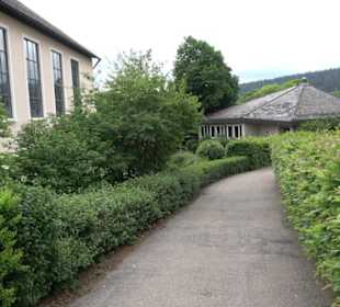 Evangelische Martinskirche