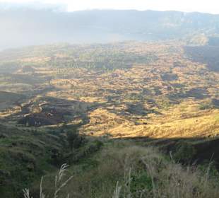 Alte Lavafelder