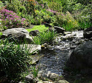 Eindrücke vom Rundgang durch die Gärten
