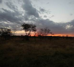 Serengeti