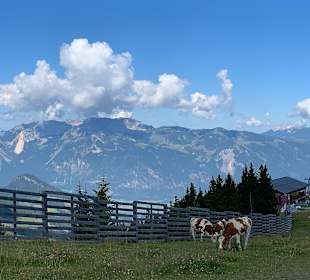 Wandern Alpbach