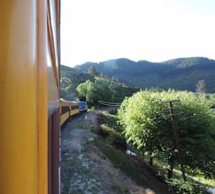 Mitder Taileri Railway durch die Natur Neuseelands