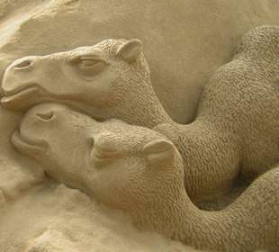 Krippe aus Sand