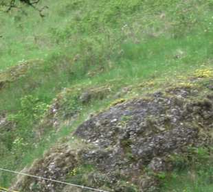 Premiumwanderweg Hochgebürzelt