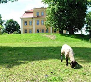 Pałac Łomnica.  Widok od strony rzeki.