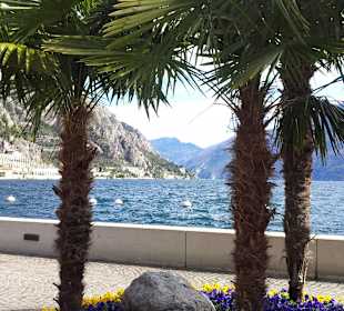 Promenade Limone