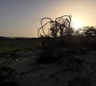 Ausflüge Marsa Alam-Wüstensafari