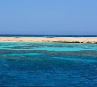 2 Tage Delfintour...