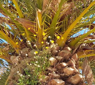 Wandern Georgioupolis