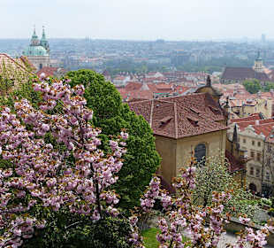 Blick auf die Kleinstadt und Altstadt