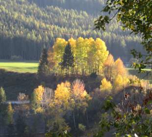 Herbststimmung am Stausee
