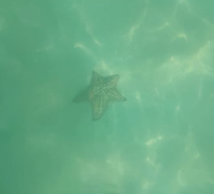 Punta Cana auf Deutsch - einfach schöne Ausflüge