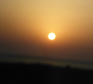 Abou Dabab (Marsa Alam)