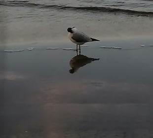 Strand Kolberg/Kolobrzeg