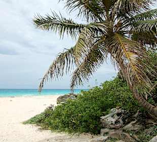 So weit die Füße tragen