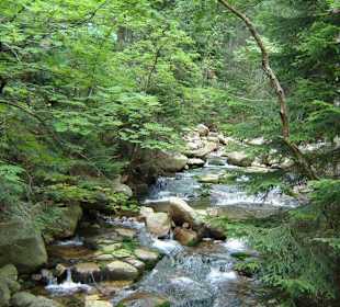 Der Weg zum Naturpark