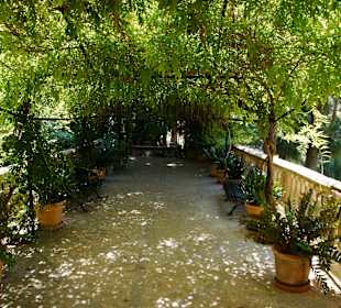 Wäre so mein Garten.....