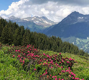 Wandern St. Gallenkirch