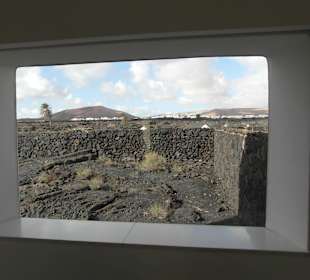 Ein anderer Blick in den Garten