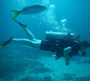 Erster Tauchgang vor Bavaro Beach