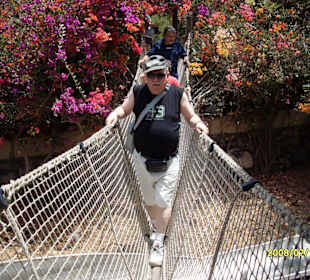 Jungle park - teneryfa