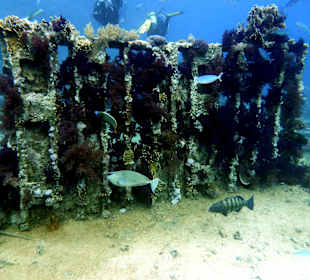 Überreste Jolanda-Wrack