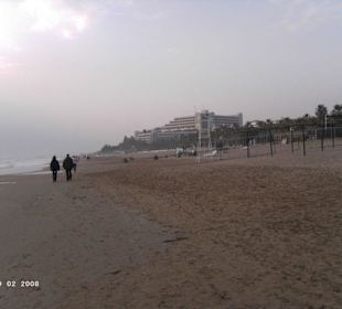 Strand
