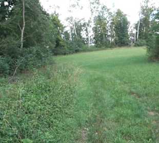 Burgruine Blankenstein