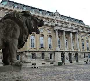 Innenhof vom Burgpalast