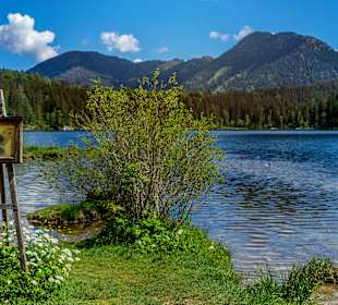 Hintersee (Ramsau) 