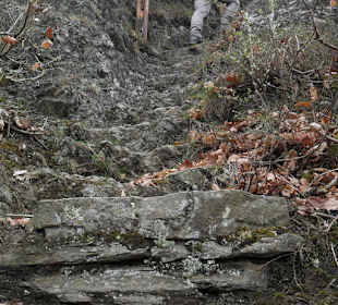 Seilsicherungen oberhalb von Brohl