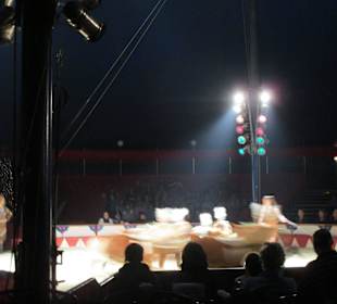 Landauer Weihnachtscircus 2015