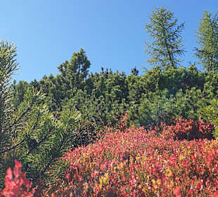 Wandern St. Margarethen im Lungau