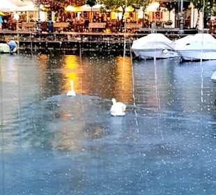Im Regen lieber drinnen